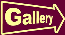 Picture gallery, my pictures